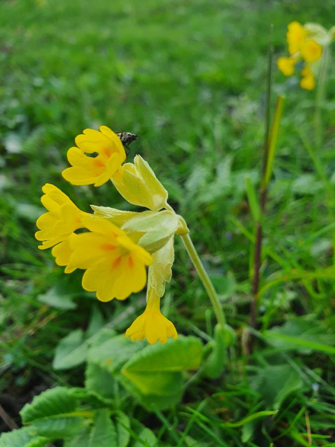 Annexe 1585325583315.JPEG