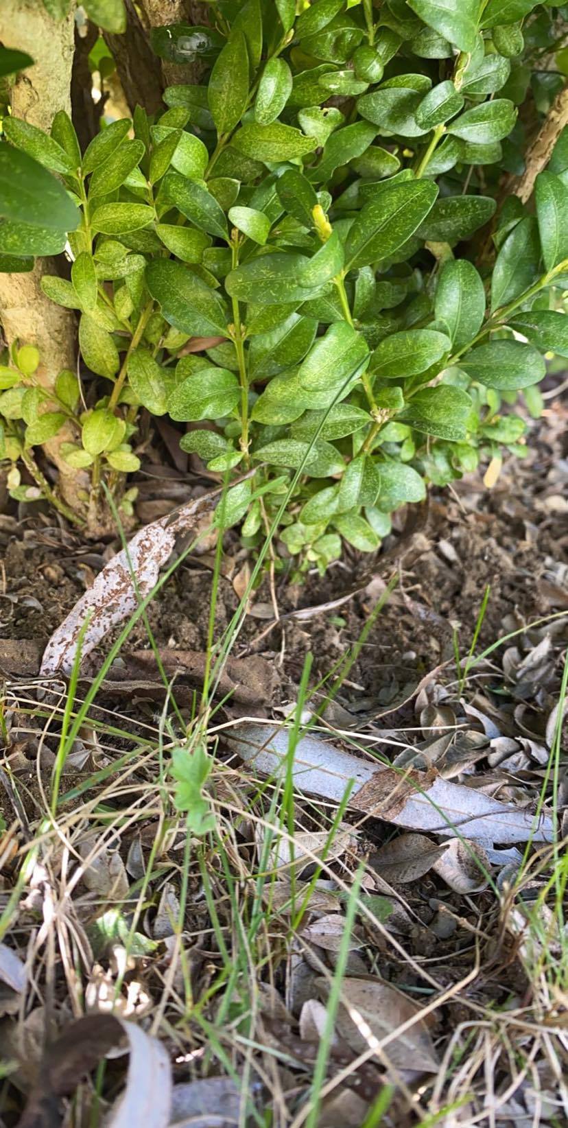 Annexe 90693433_3193331614033837_5075910676761804800_n.jpg