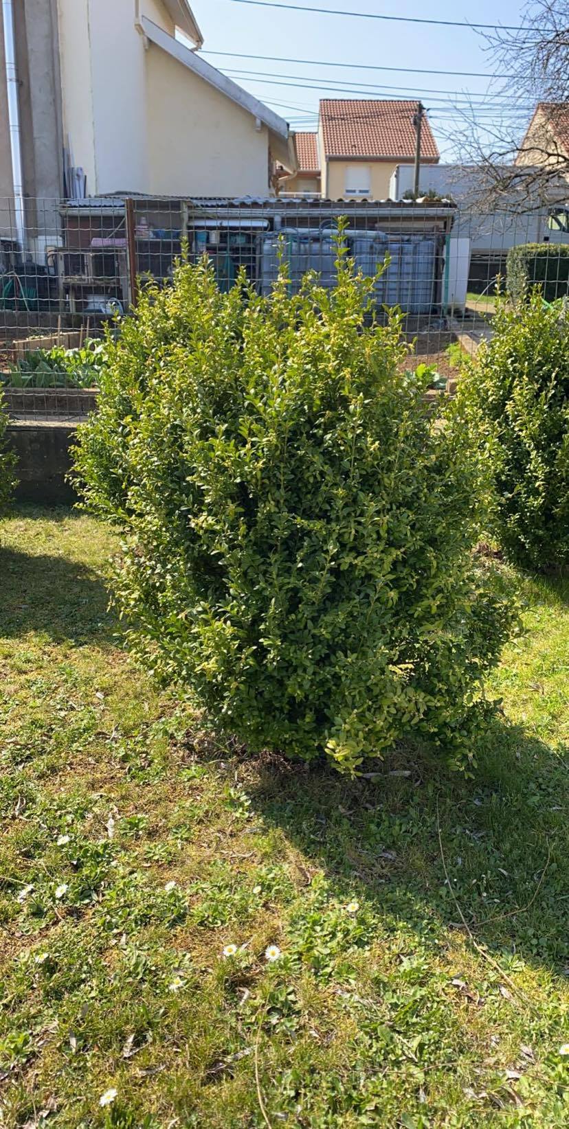 Annexe 90727516_505627773447944_3339727420742696960_n.jpg