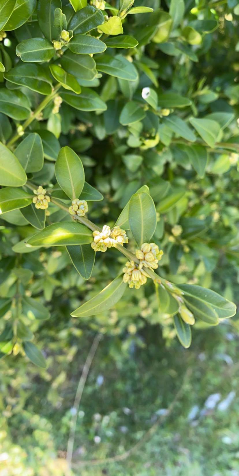 Annexe 90875591_213286089892082_2731072031675121664_n.jpg