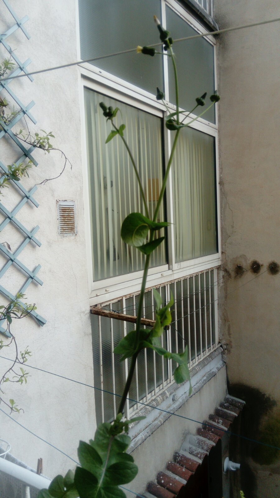 Annexe IMG-19345a370cef2f11cbc218bbf2378595-V.jpg