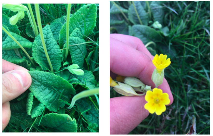 Annexe Capture d’écran 2020-03-27 à 18.53.38.png