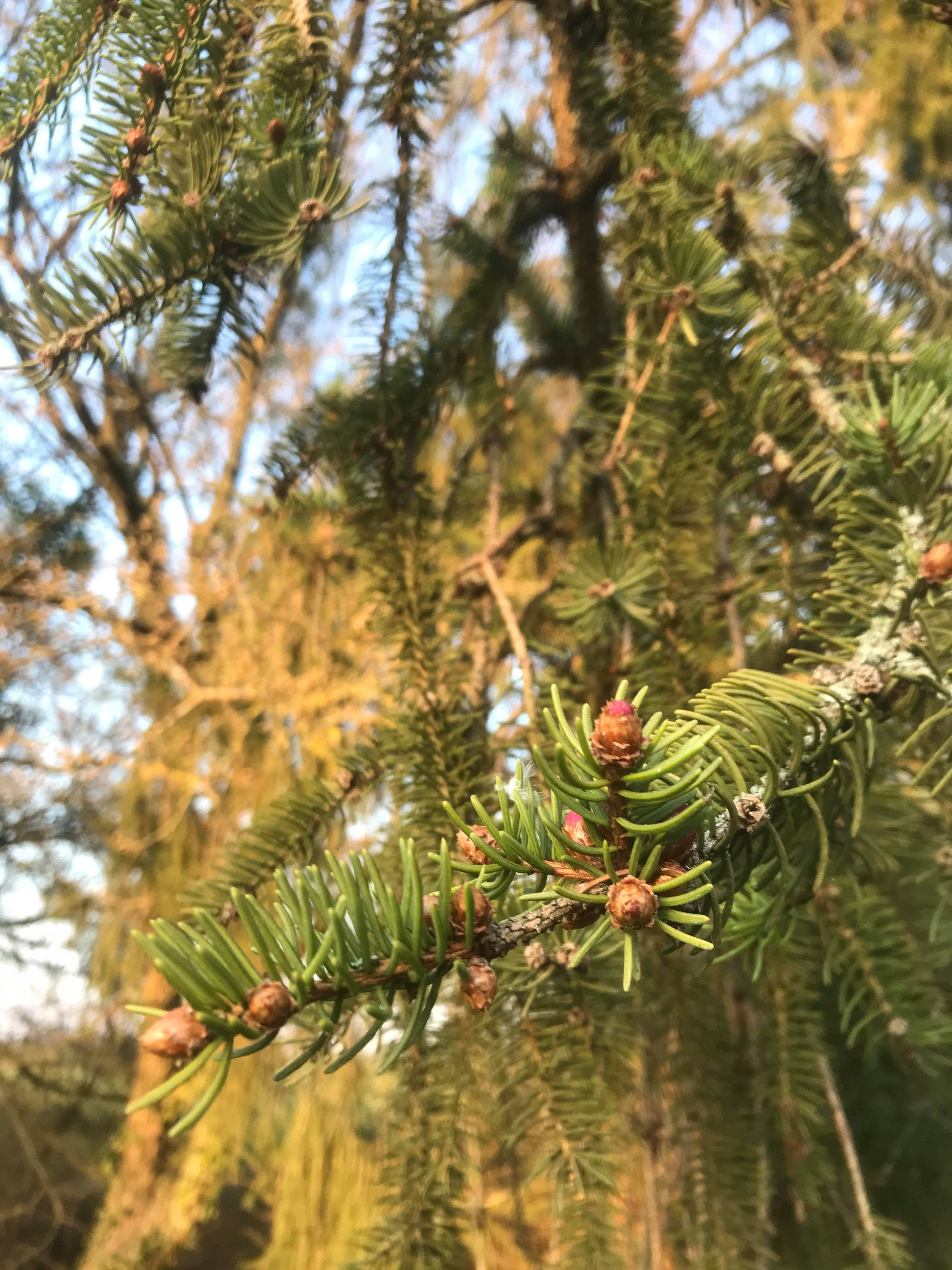 Annexe 91163681_866716067141023_3601753076140081152_n.jpg