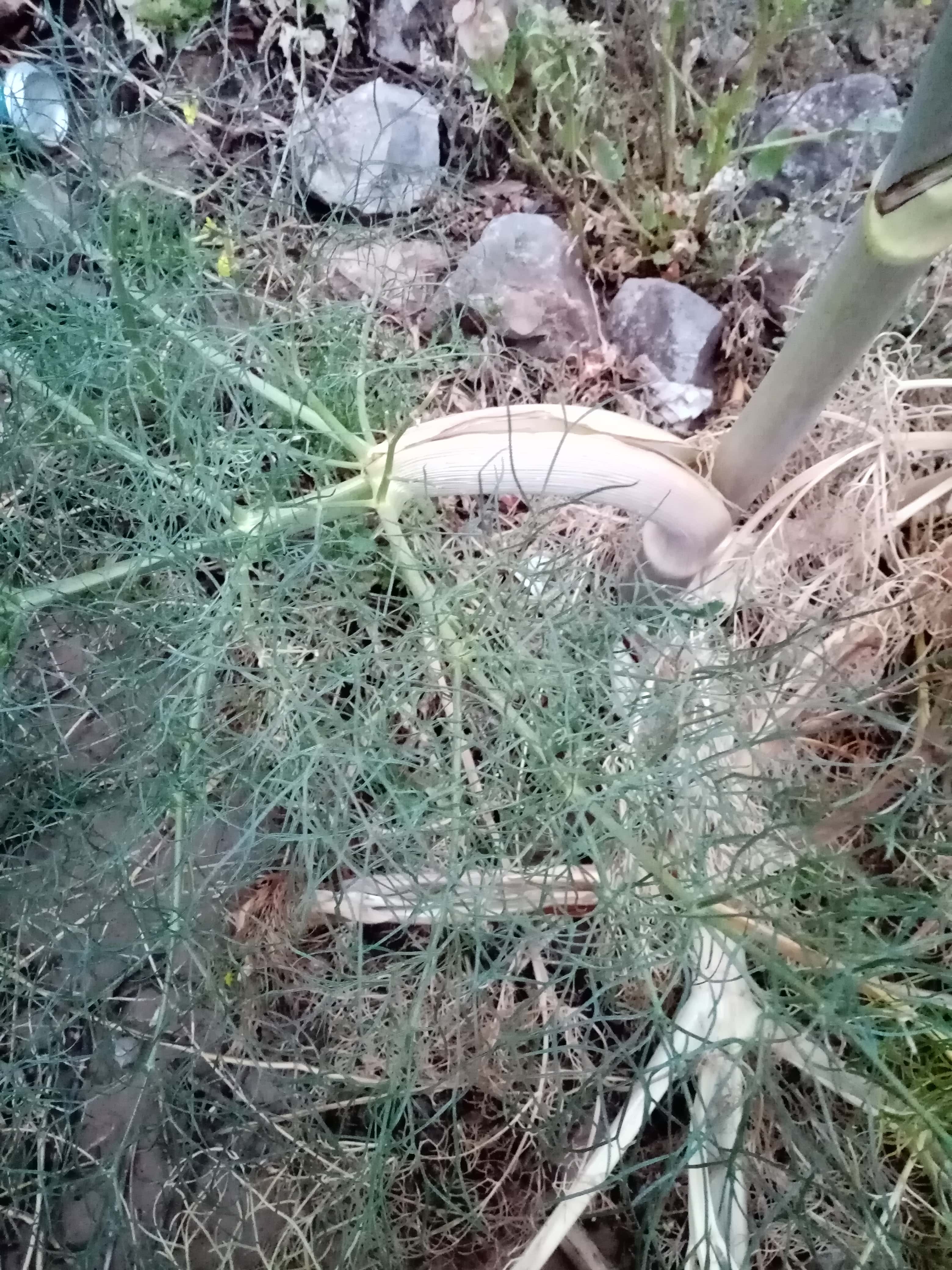 Annexe IMG_20200327_192257-min.jpg