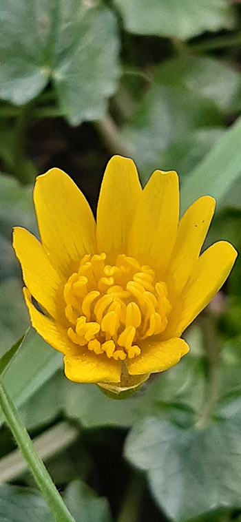 Annexe 20200215_105703.jpg