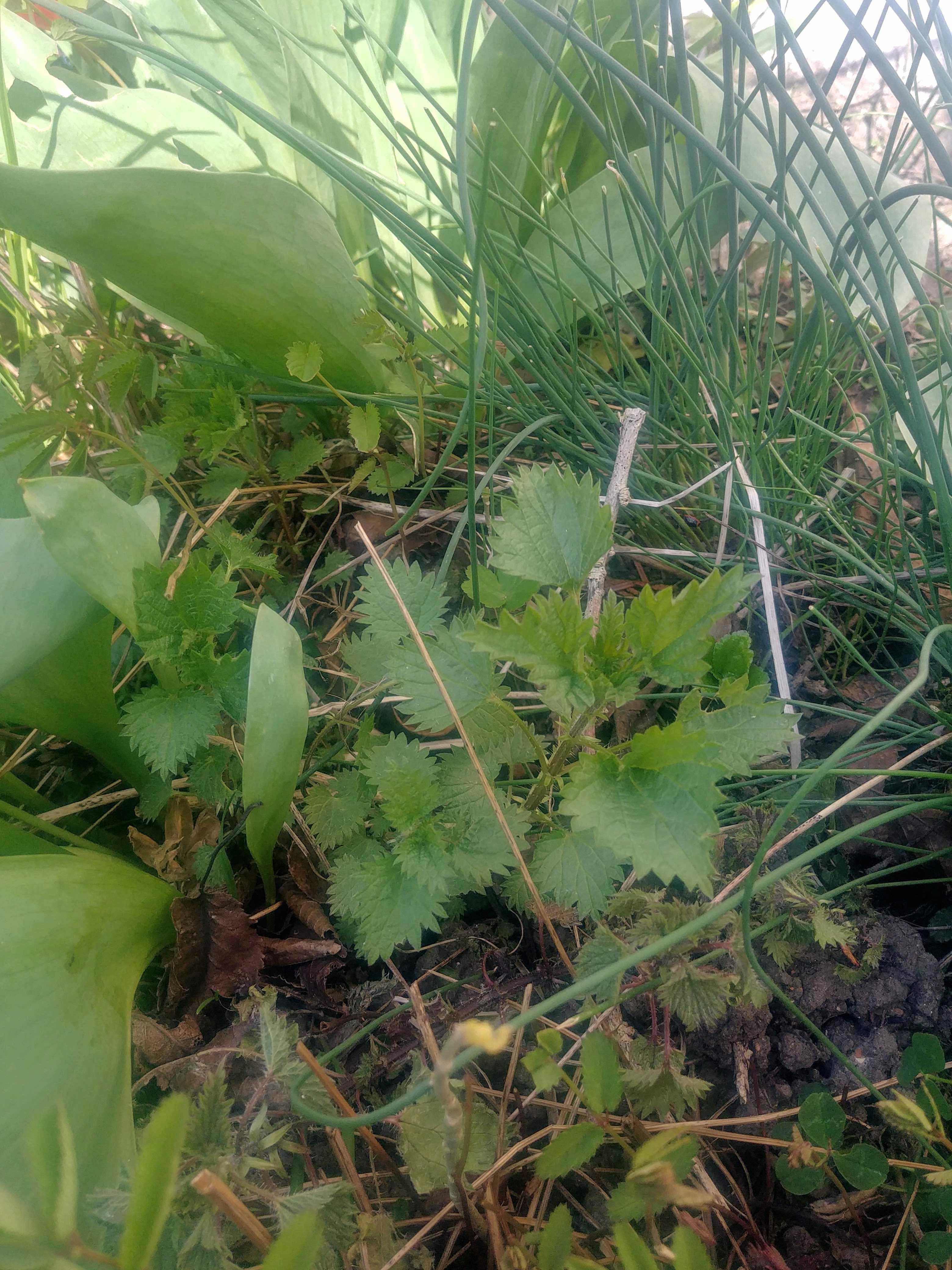 Annexe 20200327_131551_HDR.jpg