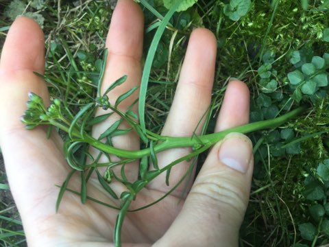 Annexe IMG_36671.jpg