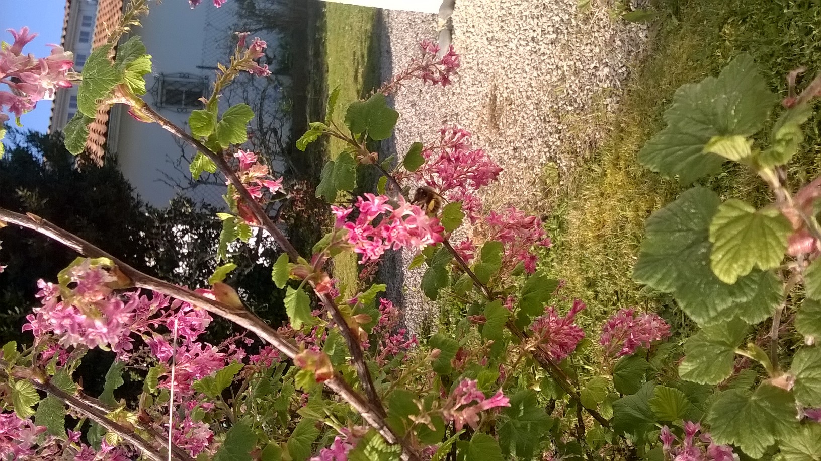 Annexe WP_20200328_004.jpg