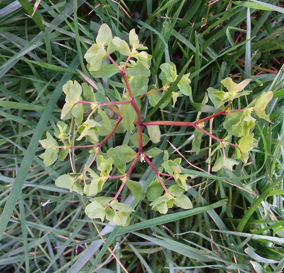 Annexe 20200328_093413-1.jpg