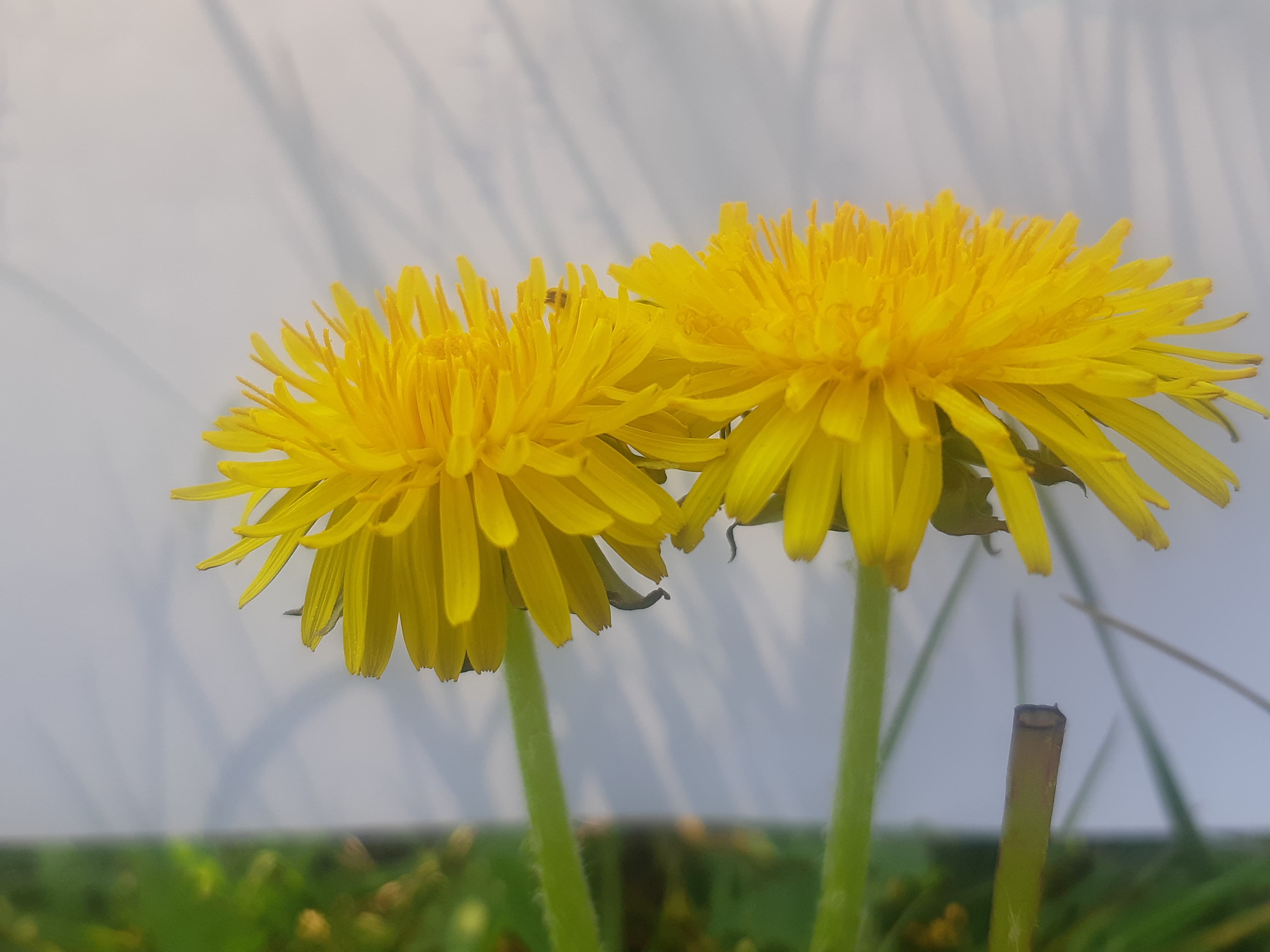 Annexe 90899394_212075146558240_8683921988403593216_n.jpg