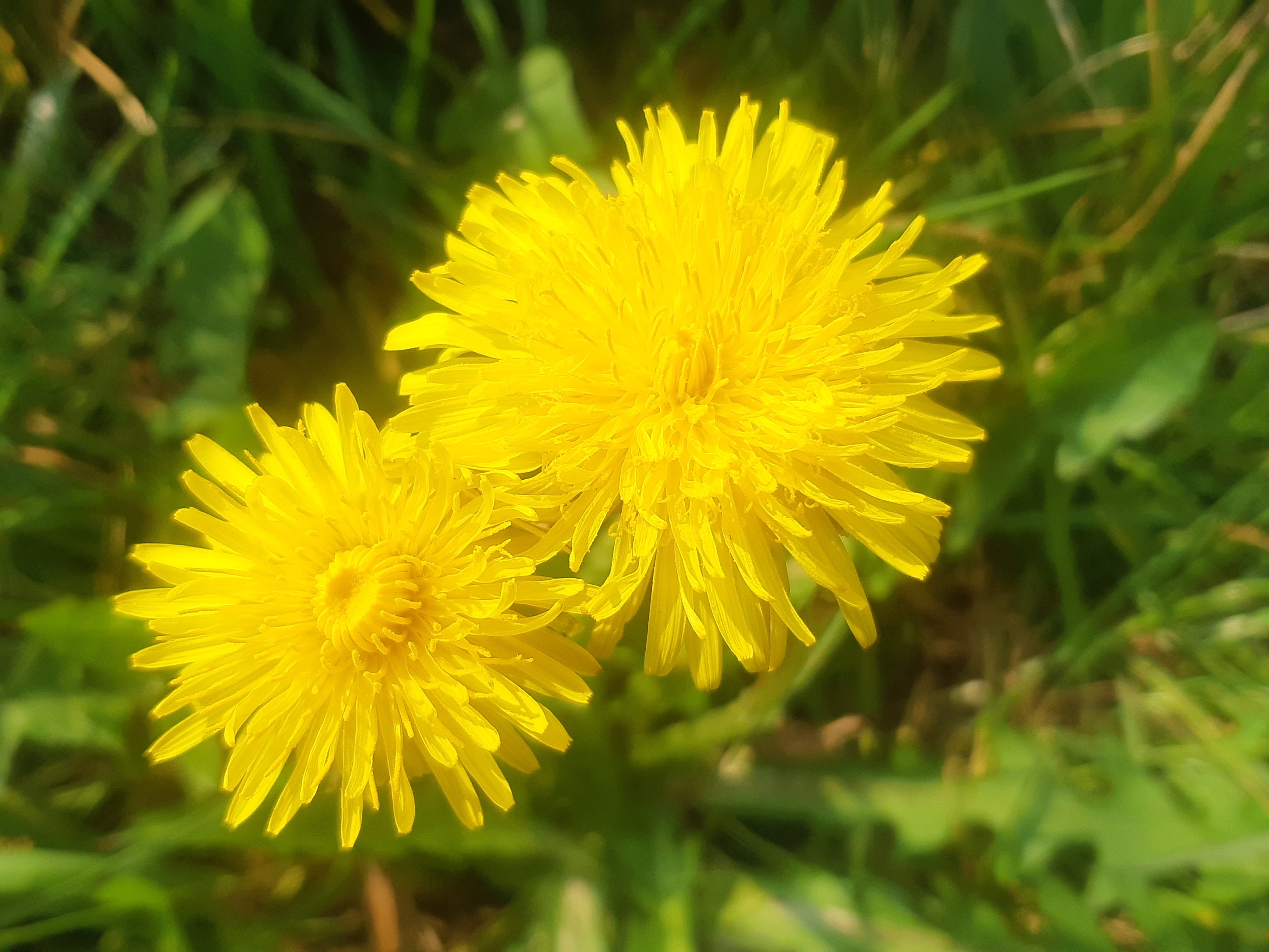 Annexe 91801010_208833843747533_6100181001567207424_n.jpg