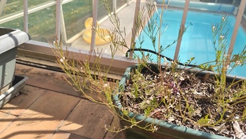 Annexe 90790479_2816198341810921_8613895574594256896_n.jpg