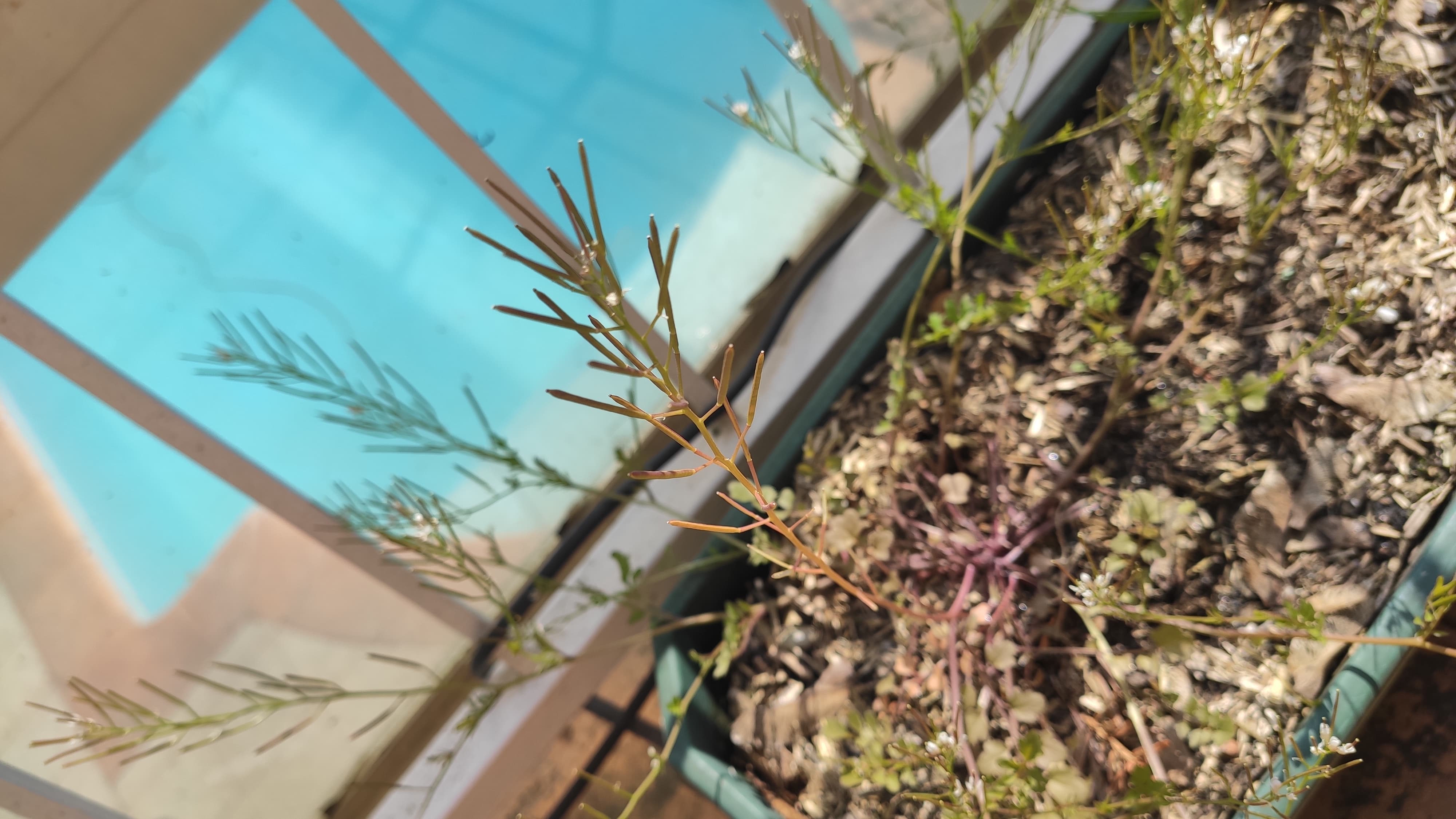 Annexe 90823232_2605030779771794_1014435927734353920_n.jpg