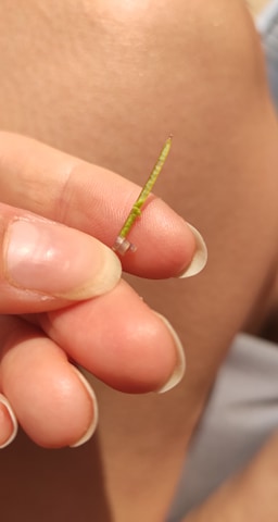 Annexe 91781777_515054622498240_2026349524254982144_n.jpg