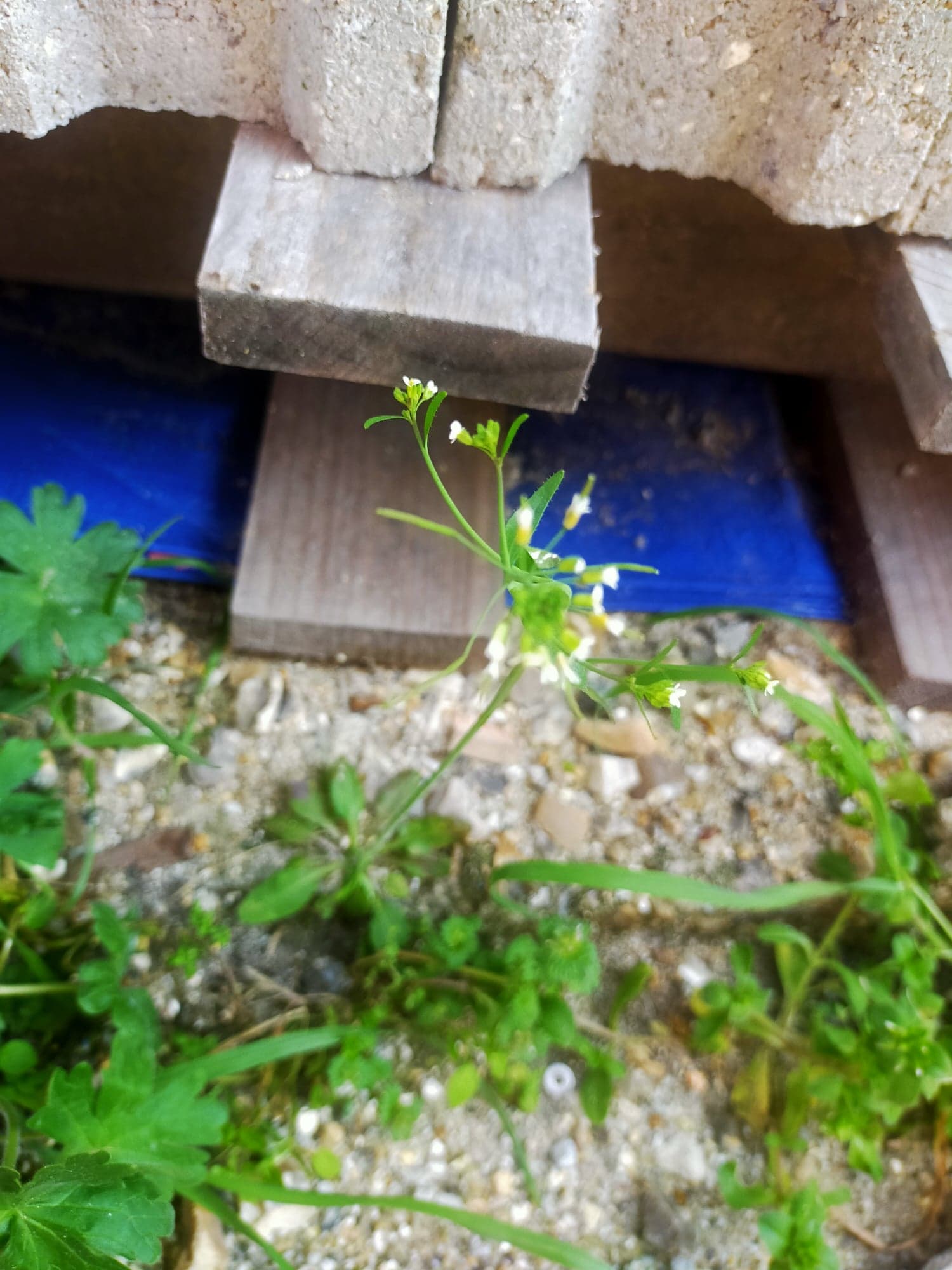 Annexe 90759683_1120273974984992_8614464717890519040_n.jpg