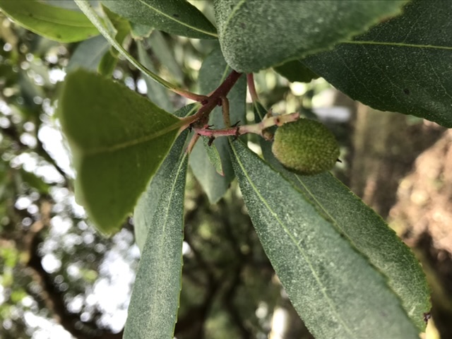 Annexe 4159D0DD-1A4D-44F1-9E5C-F9F01F871EDE.jpeg