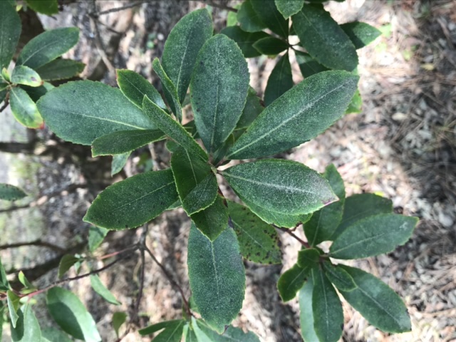 Annexe 790A4E8E-1A72-4D30-9AD9-13074FB17EBD.jpeg