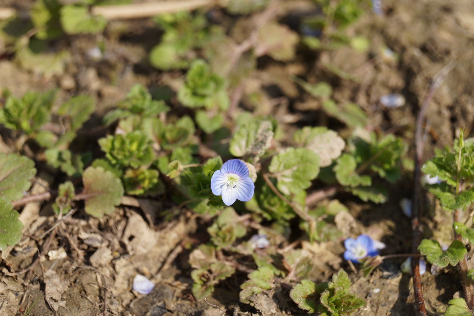 Annexe WhatsApp Image 2020-03-28 at 12.45.55 (1).jpeg