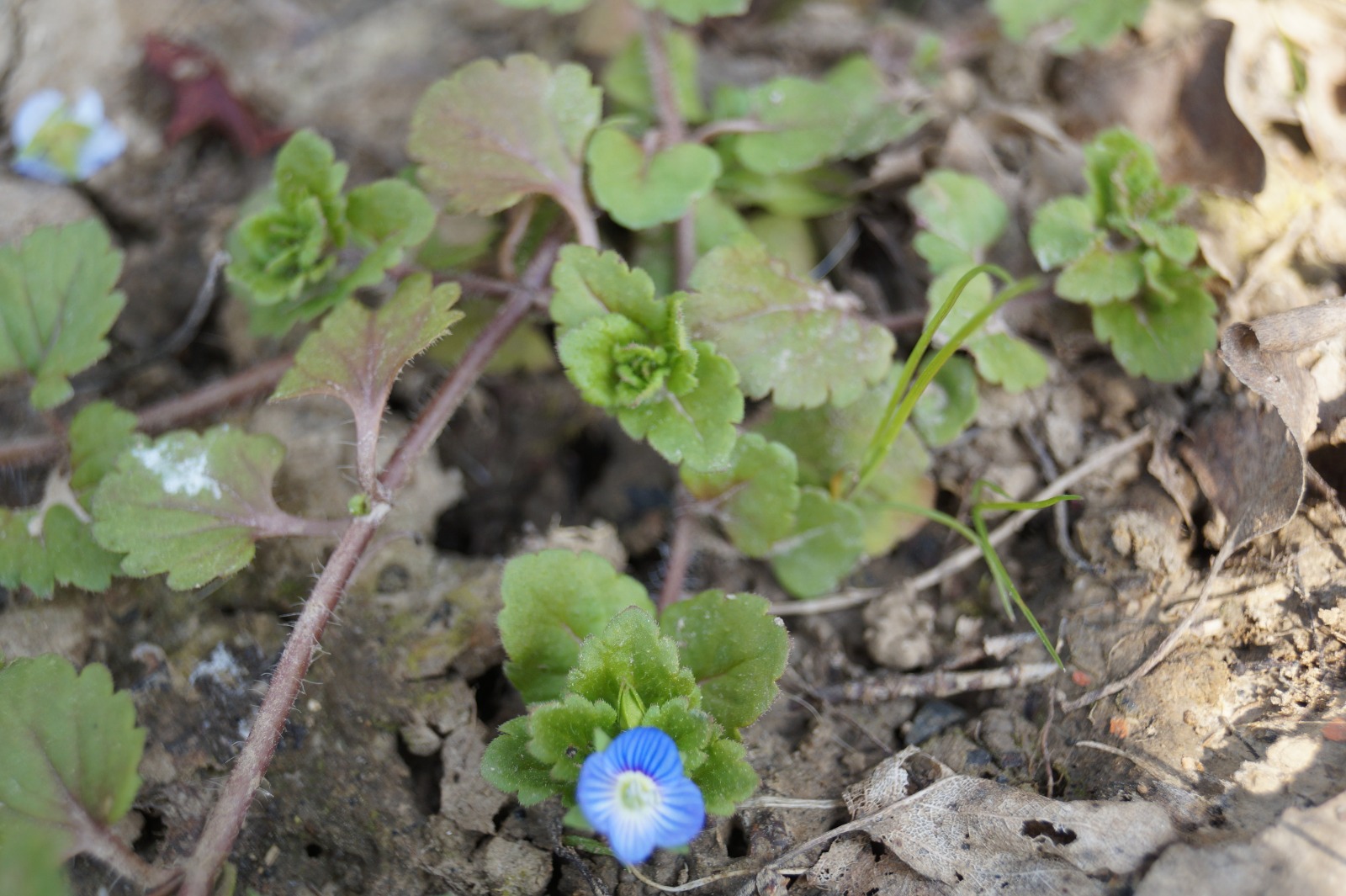 Annexe WhatsApp Image 2020-03-28 at 12.45.55 (2).jpeg