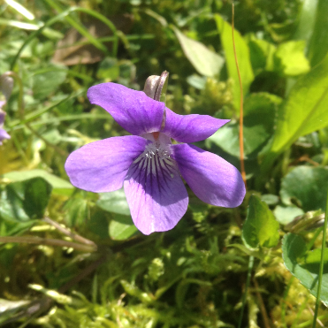 Annexe Capture d’écran (30).png