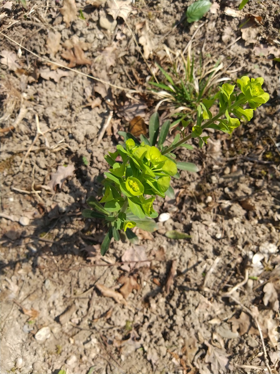 Annexe Dessus (2).jpg