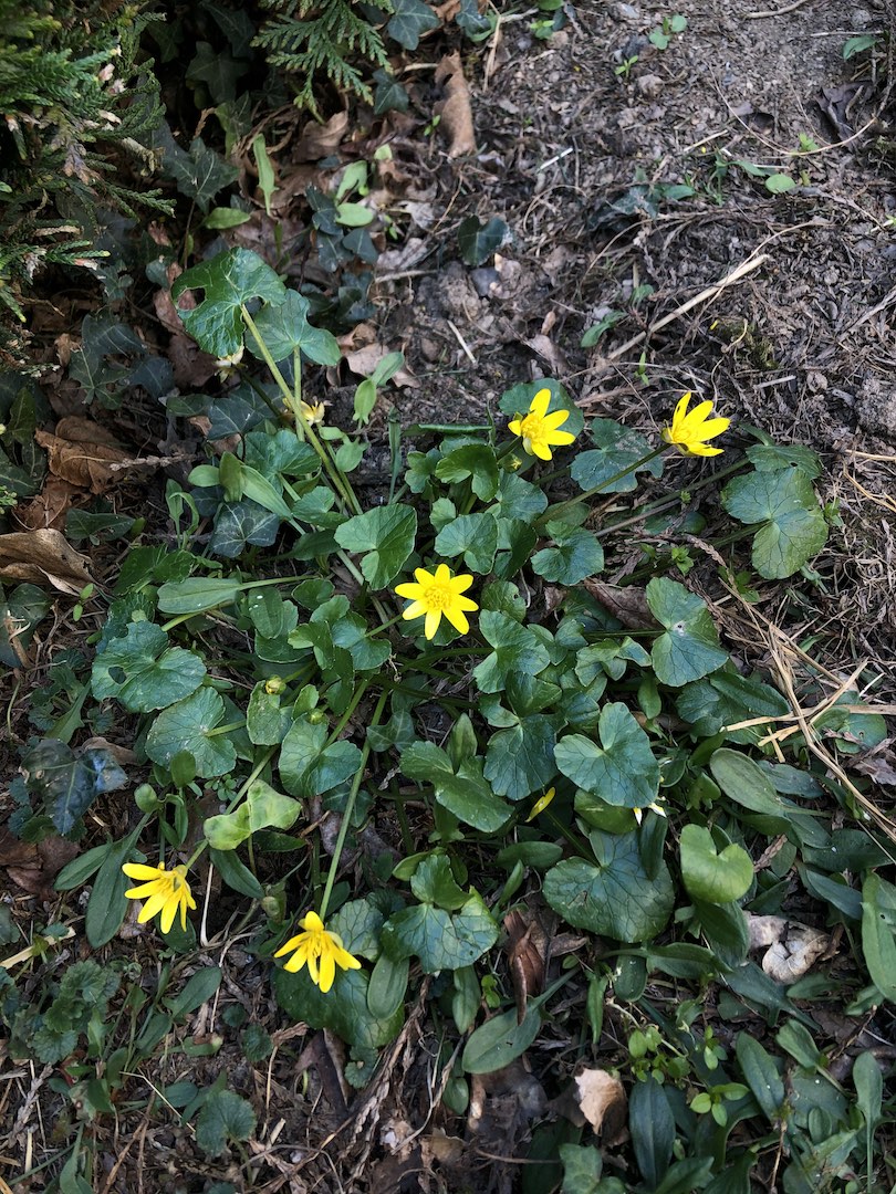 Annexe IMG_0082 - copie.jpg