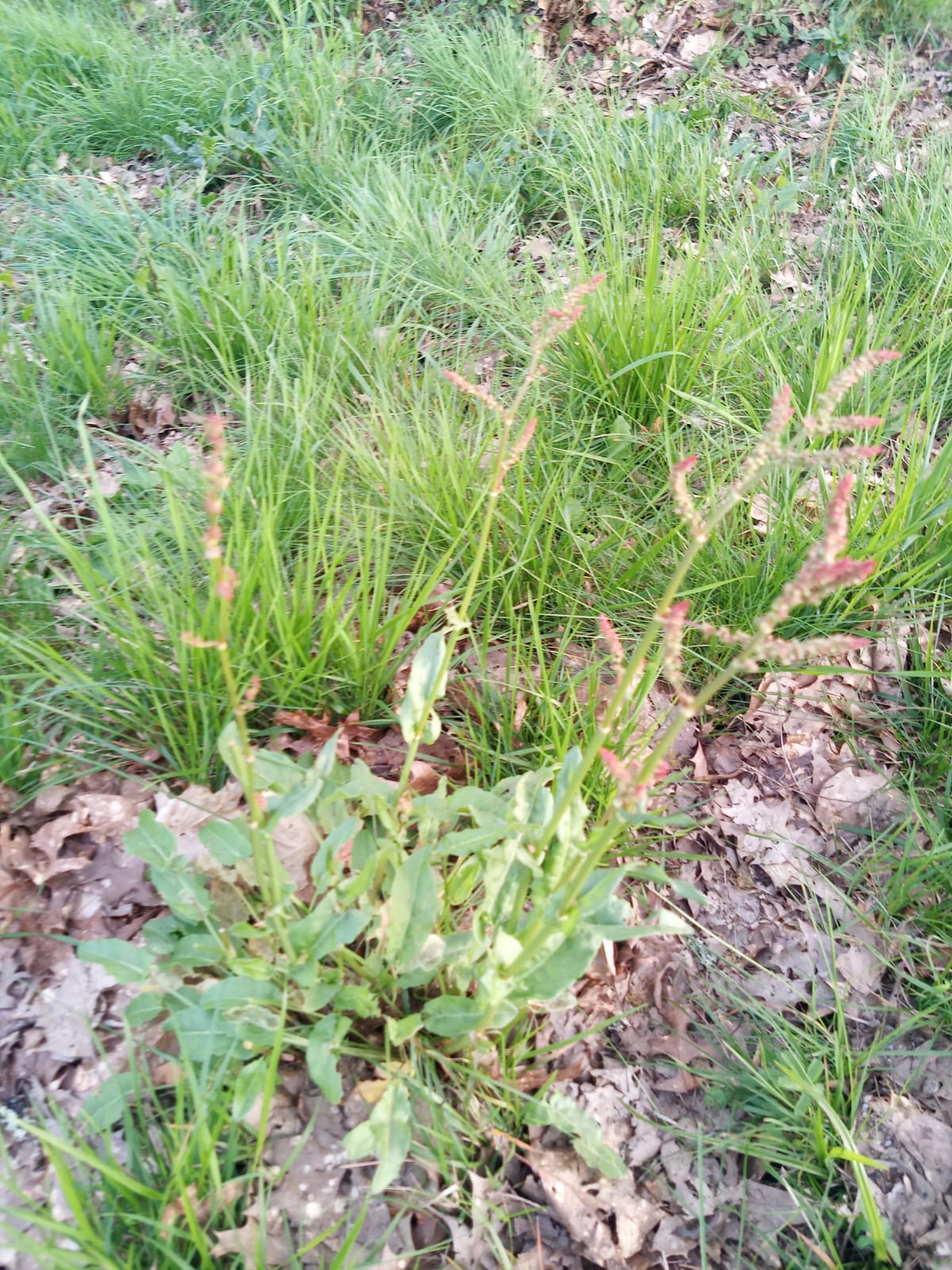 Annexe d2964063-237e-4f4b-ab20-08dd9f2affe2.jpeg