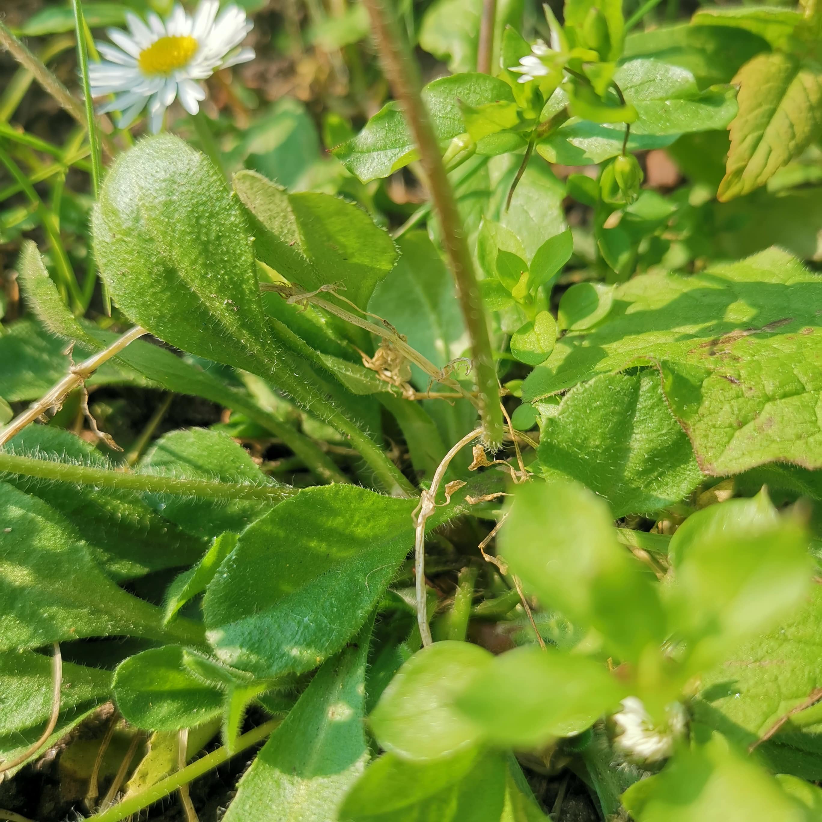 Annexe IMG_20200328_152220-min.jpg