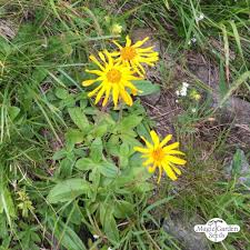 Annexe téléchargement.jpeg