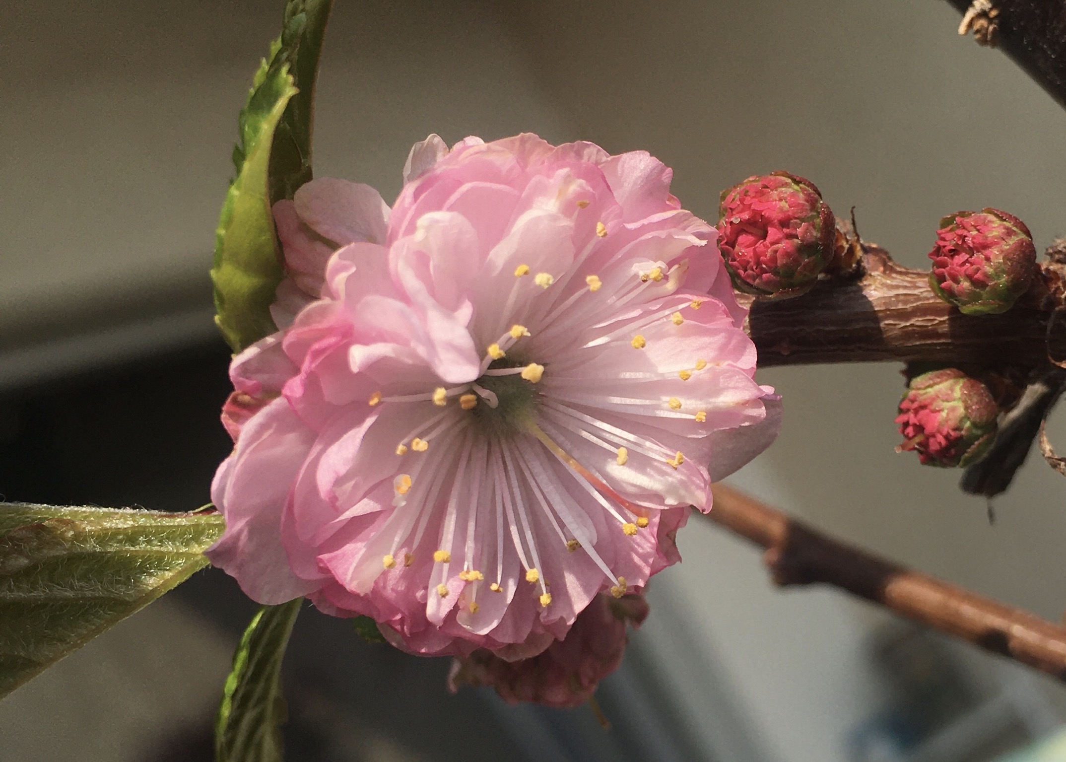 Annexe 91F778F4-9771-4C23-B359-485A9E740B91.jpeg