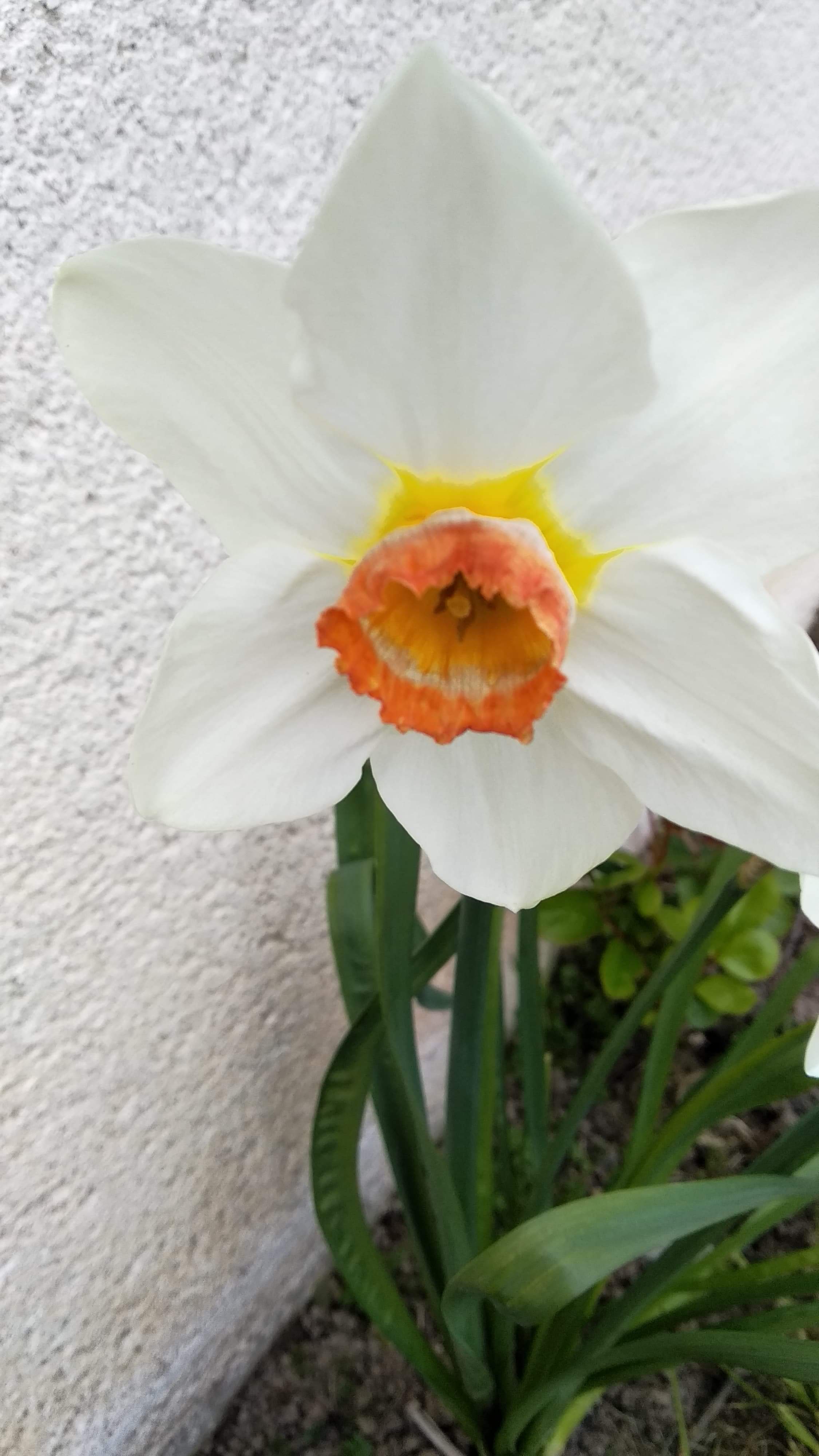 Annexe received_1308201326234469.jpeg