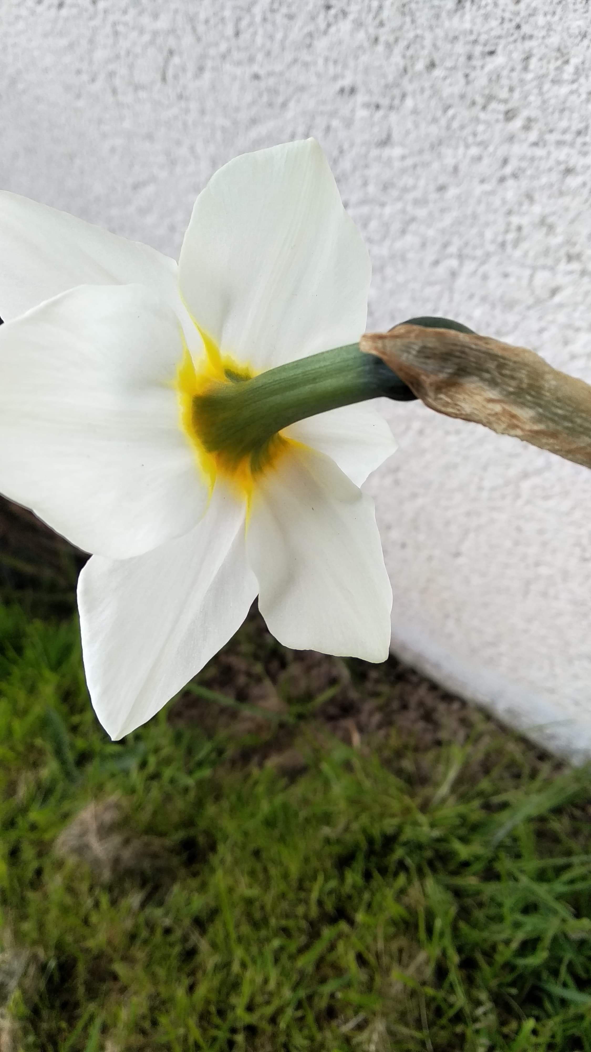 Annexe received_222139982341815.jpeg