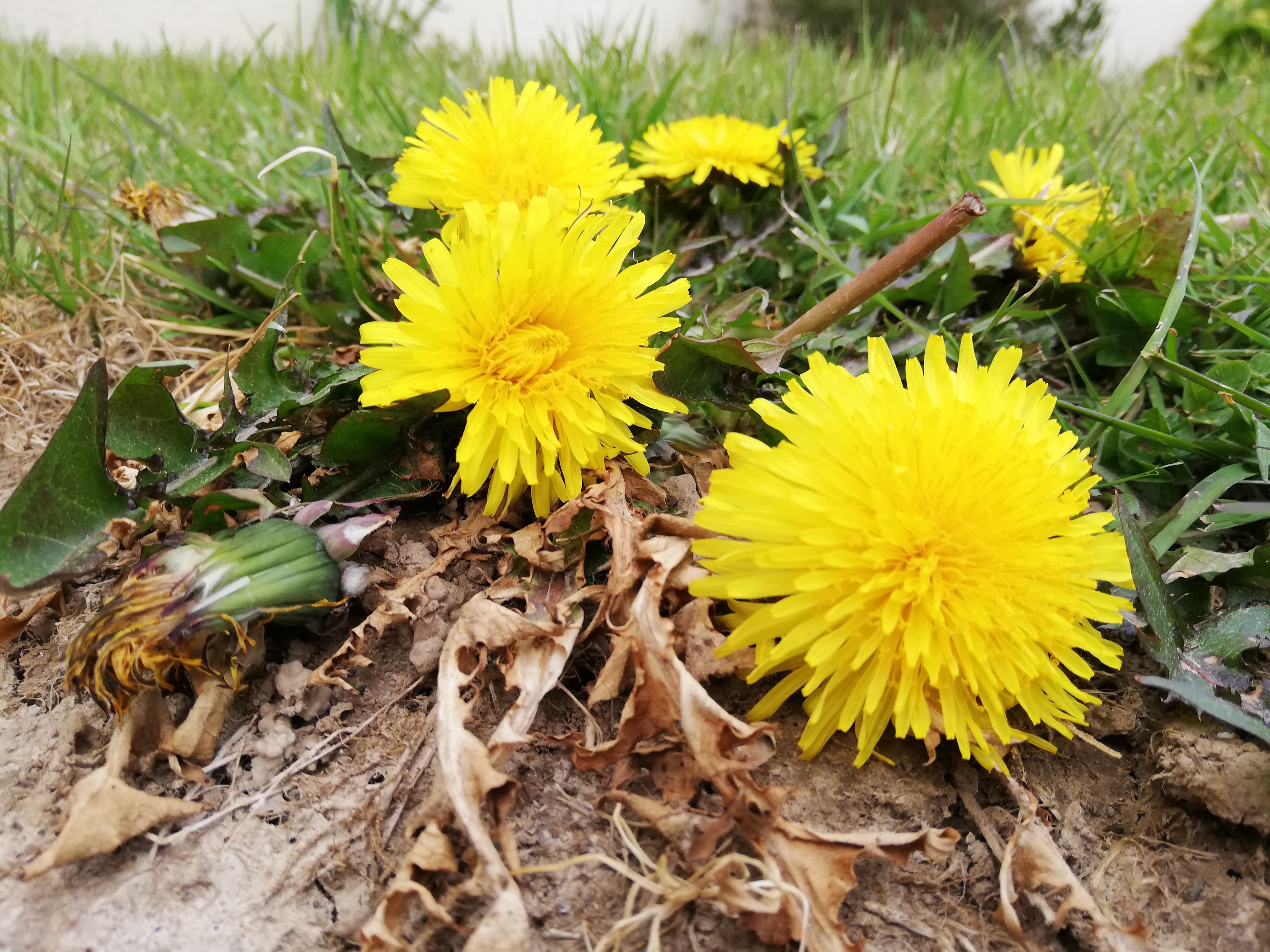 Annexe 90918046_1127812064238831_3925193697263616000_n (1).jpg