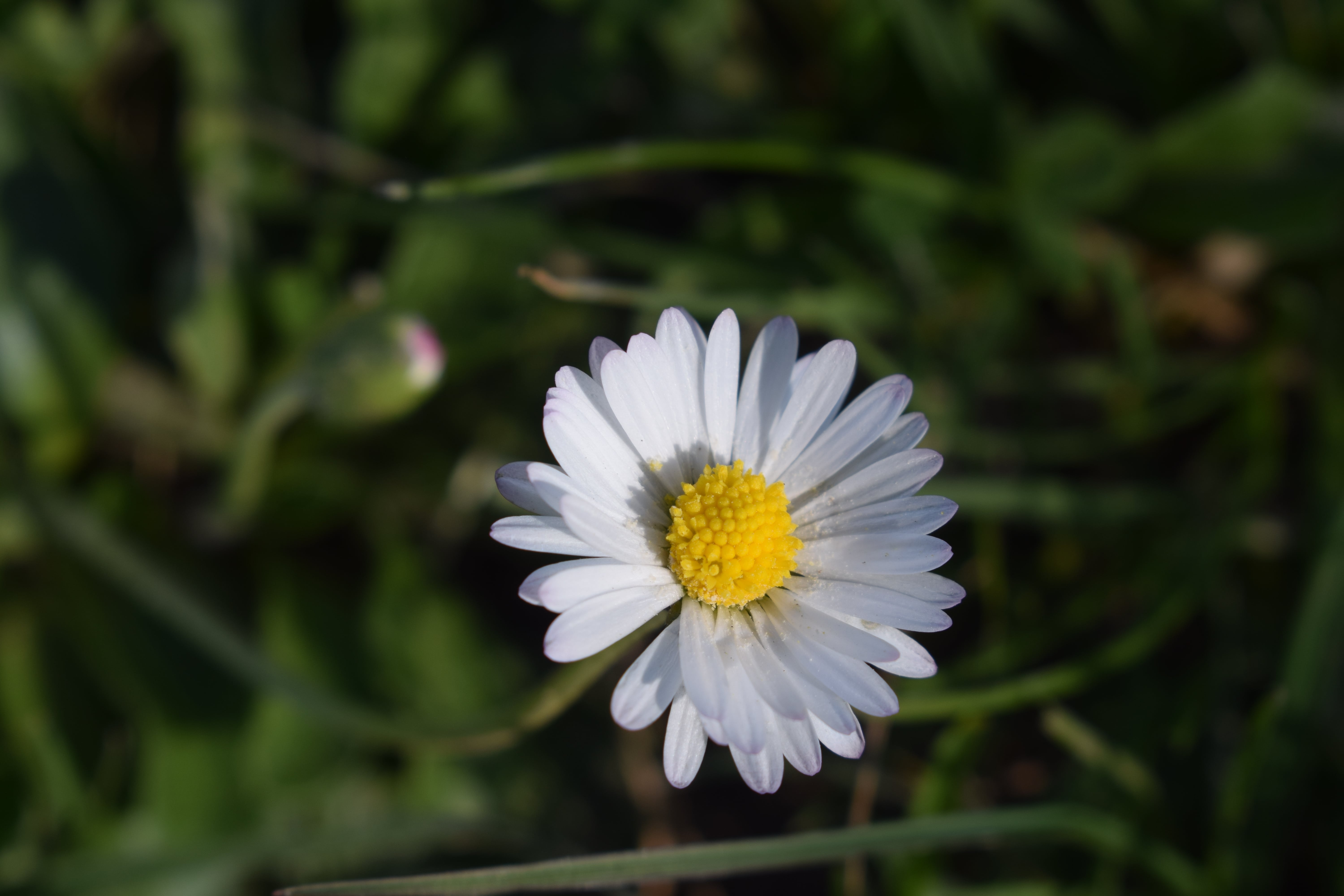 Annexe DSC_0002-min (1).JPG