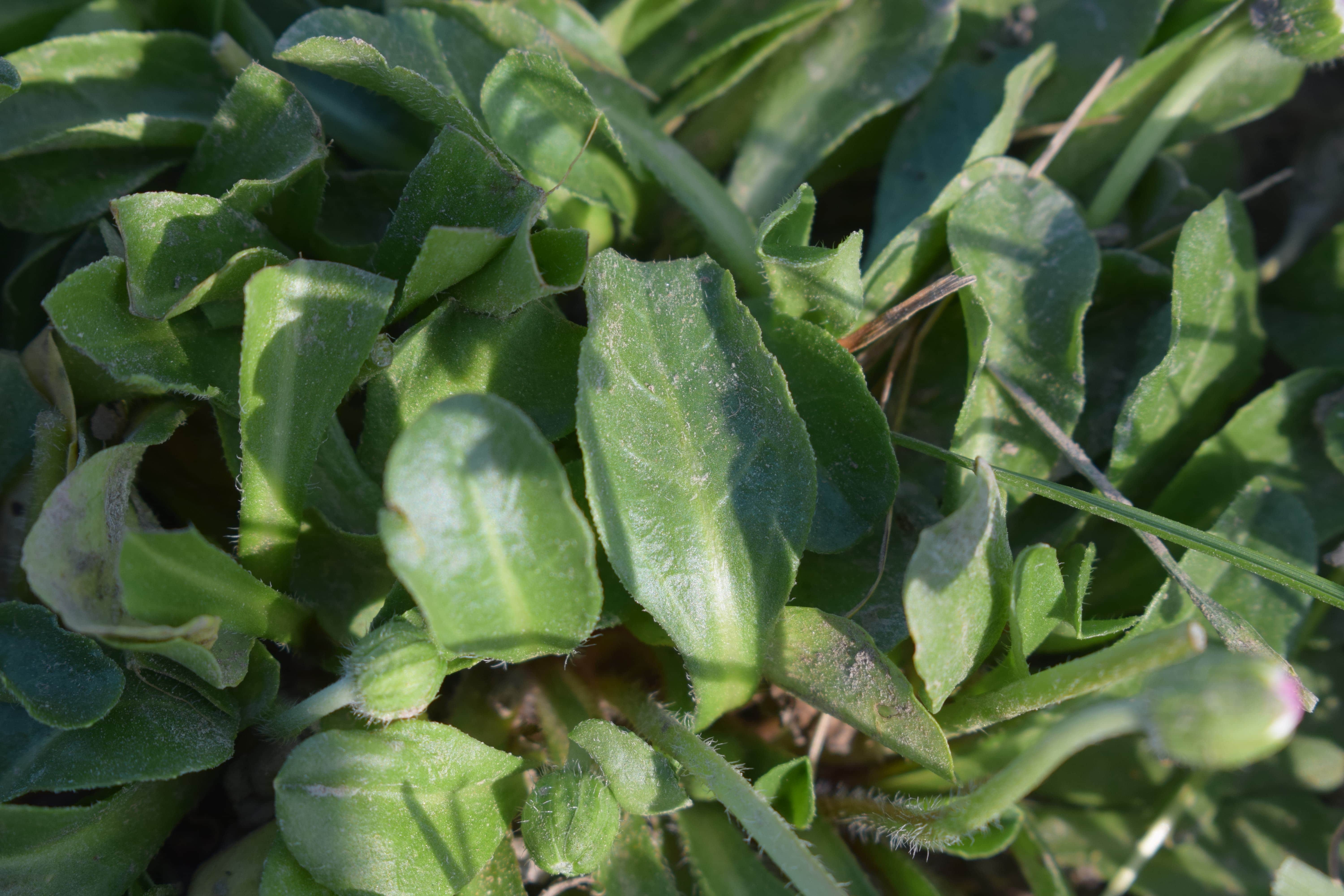 Annexe DSC_0003-min (1)-min.JPG