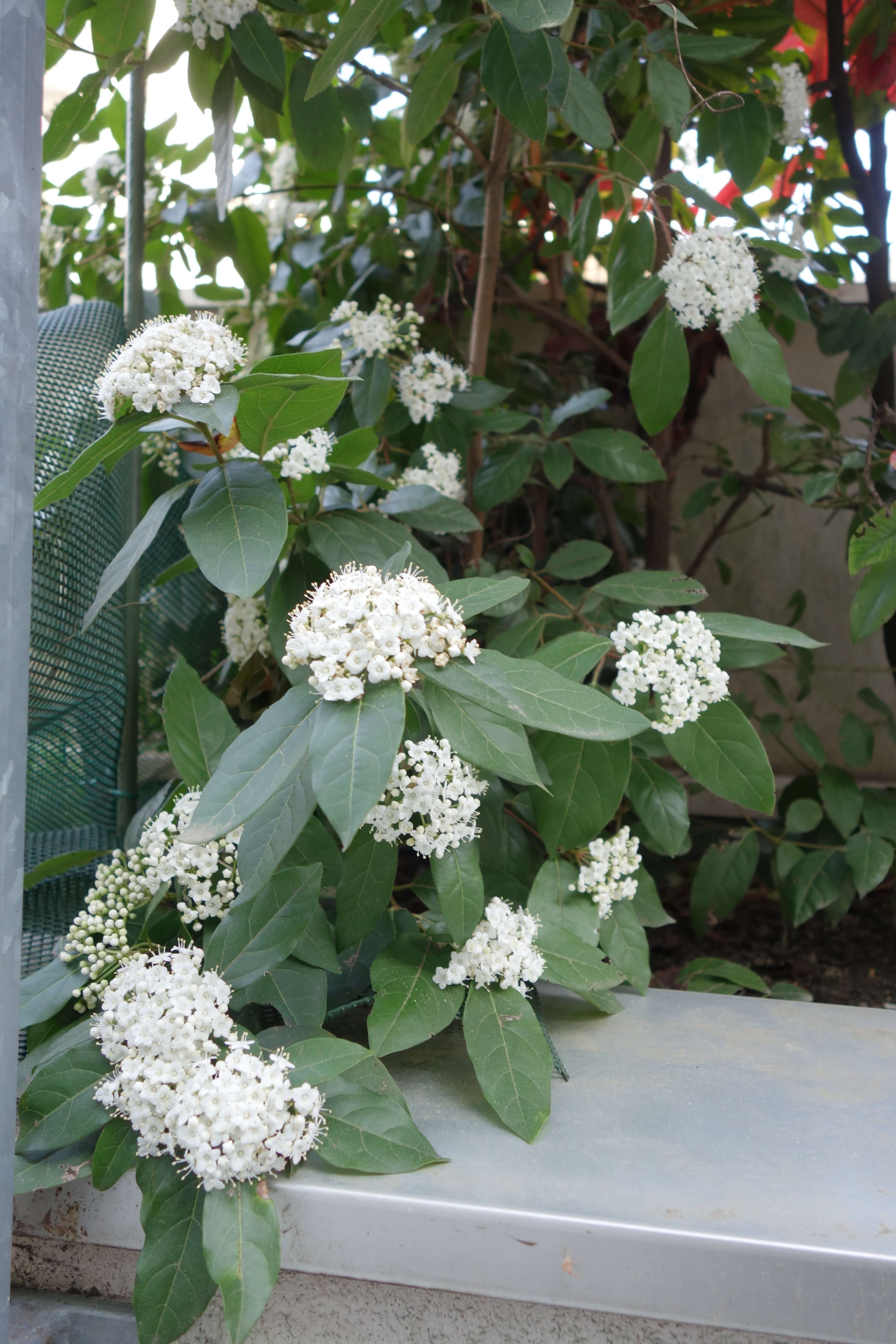 Annexe Sans titre.jpg