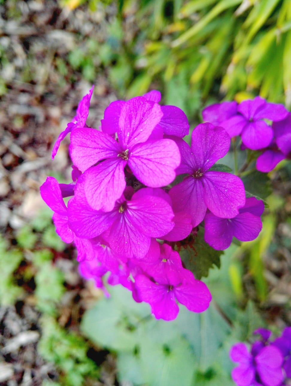 Annexe WhatsApp Image 2020-03-28 at 17.30.55(1).jpeg