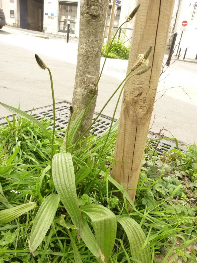 Annexe vue générale 2.jpg