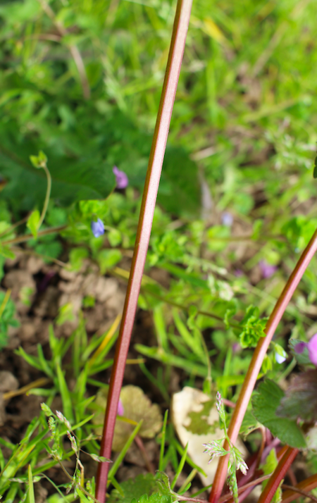 Annexe Capture d’écran 2020-03-28 à 18.00.37.png