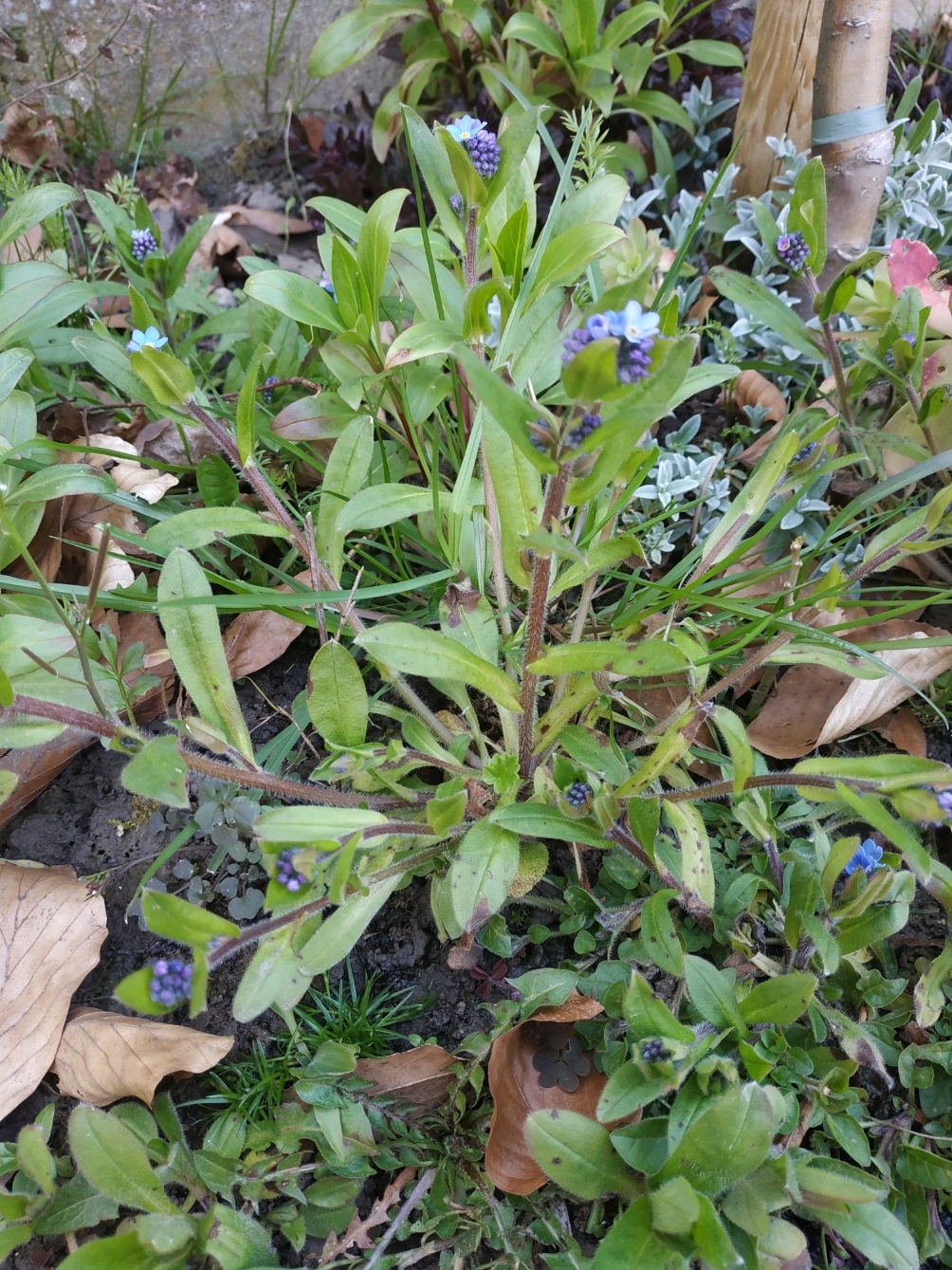 Annexe IMG_20200327_174757.jpg