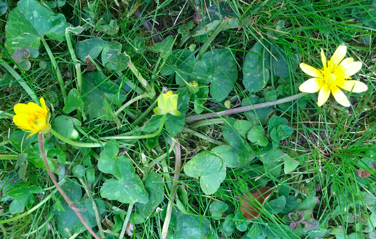 Annexe Capture d’écran 2020-03-28 à 18.27.52.png