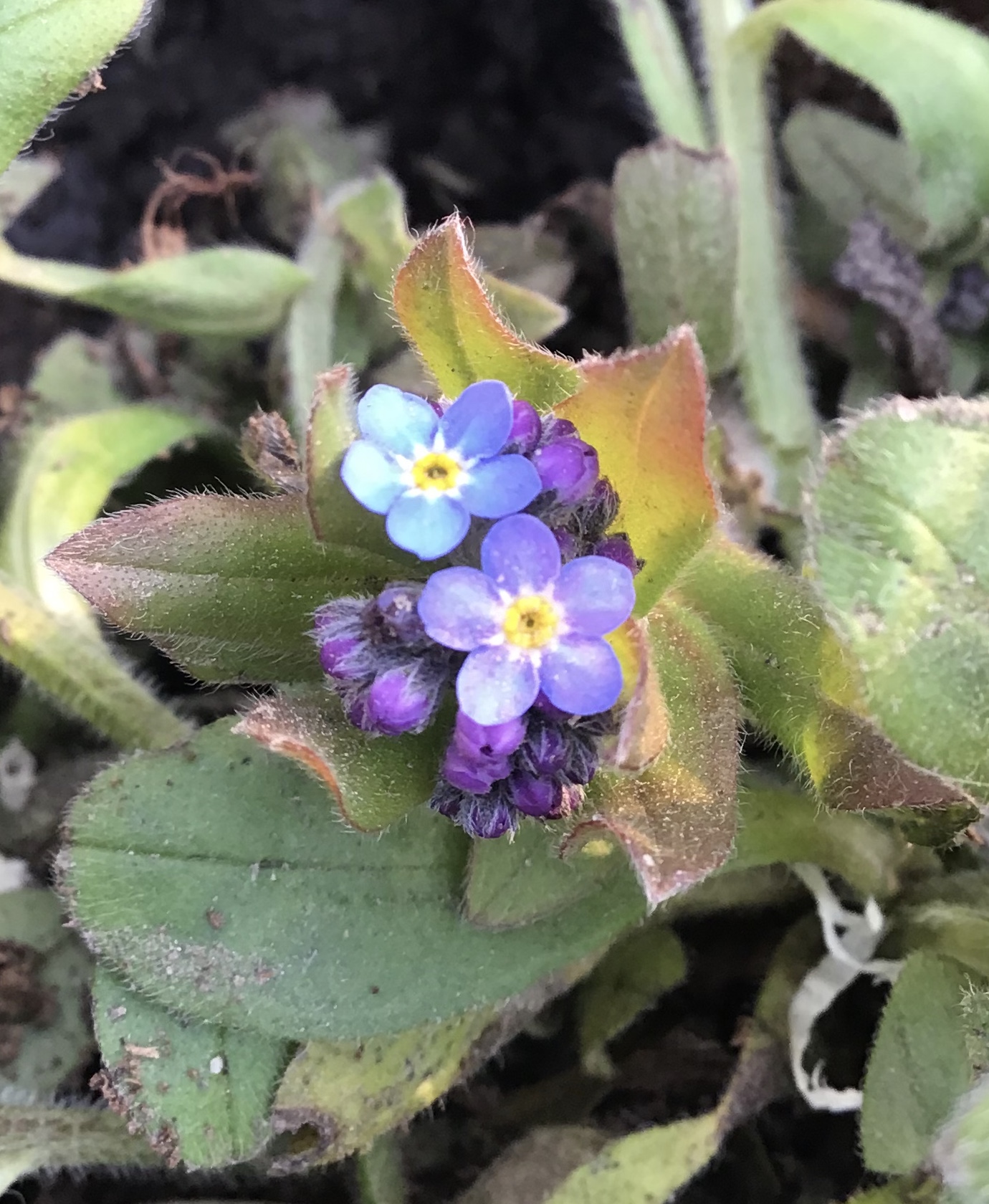 Annexe 2E86C47A-9964-4F22-B831-9B8212F42779.jpeg