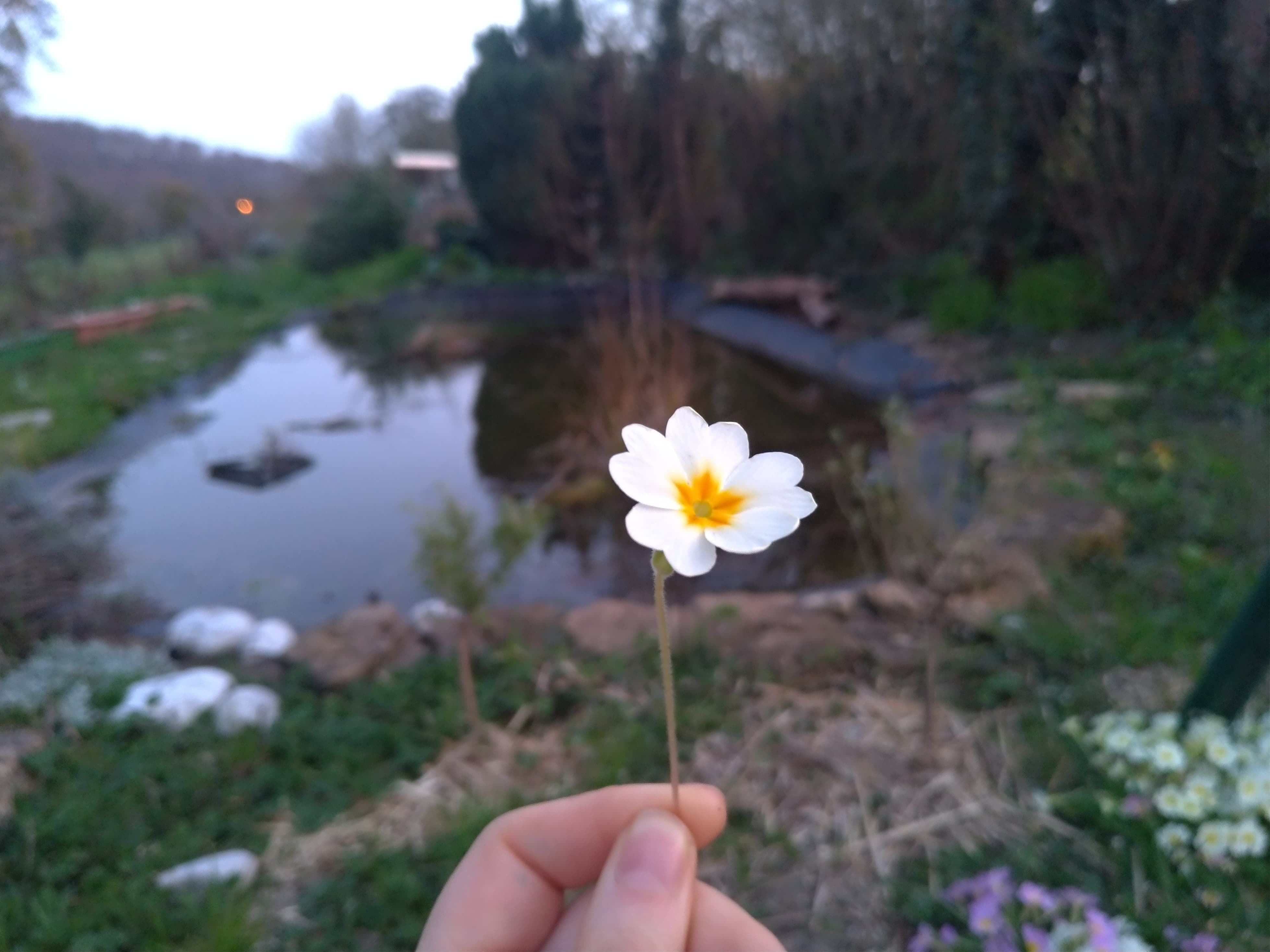 Annexe 90813411_1116469605394676_7376225822547378176_n.jpg