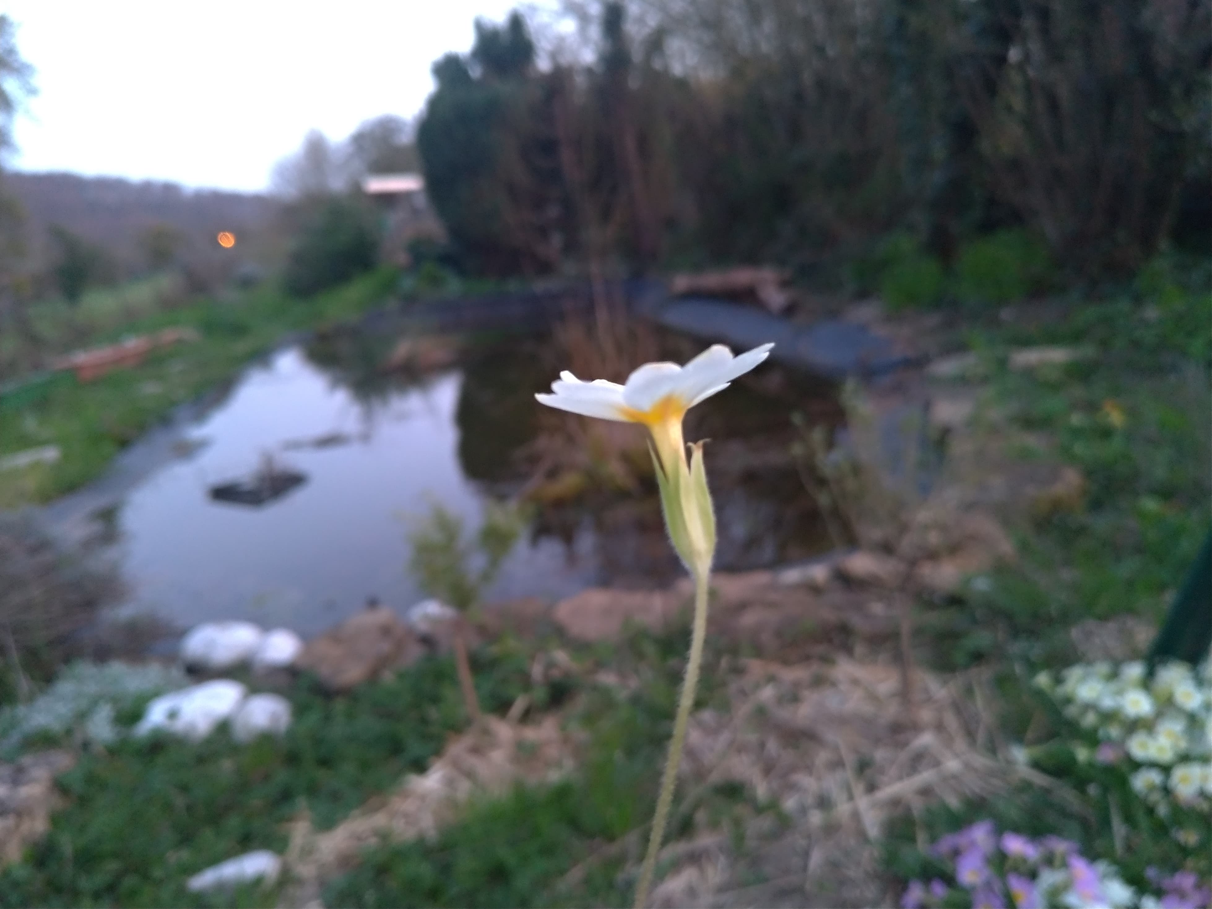 Annexe 91404750_521692438722309_3779992148749844480_n.jpg