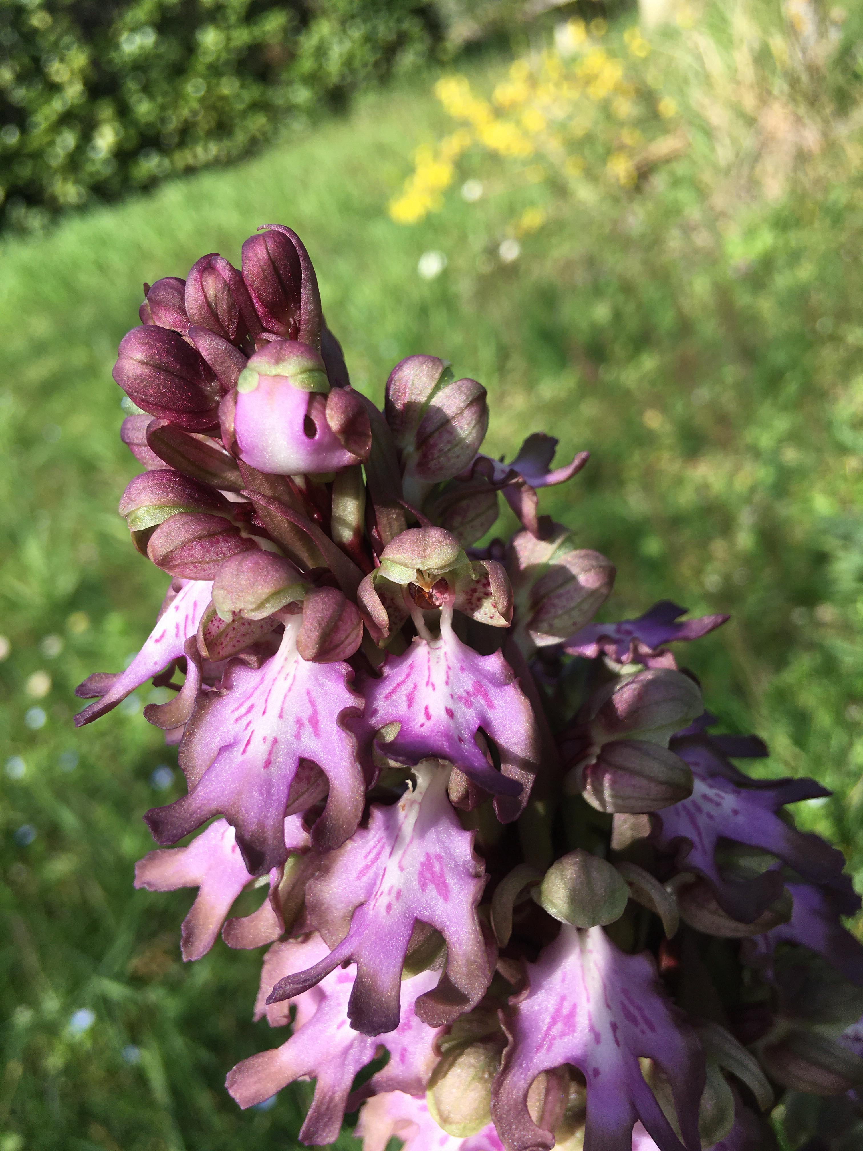 Annexe 89731632_669287067166322_306561567153979392_n.jpg