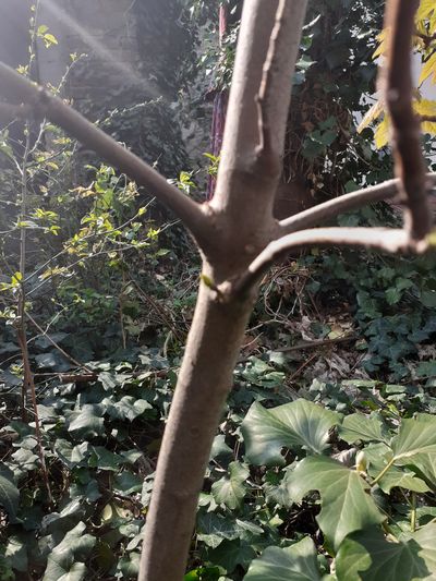 Annexe 20200328_123658.jpg