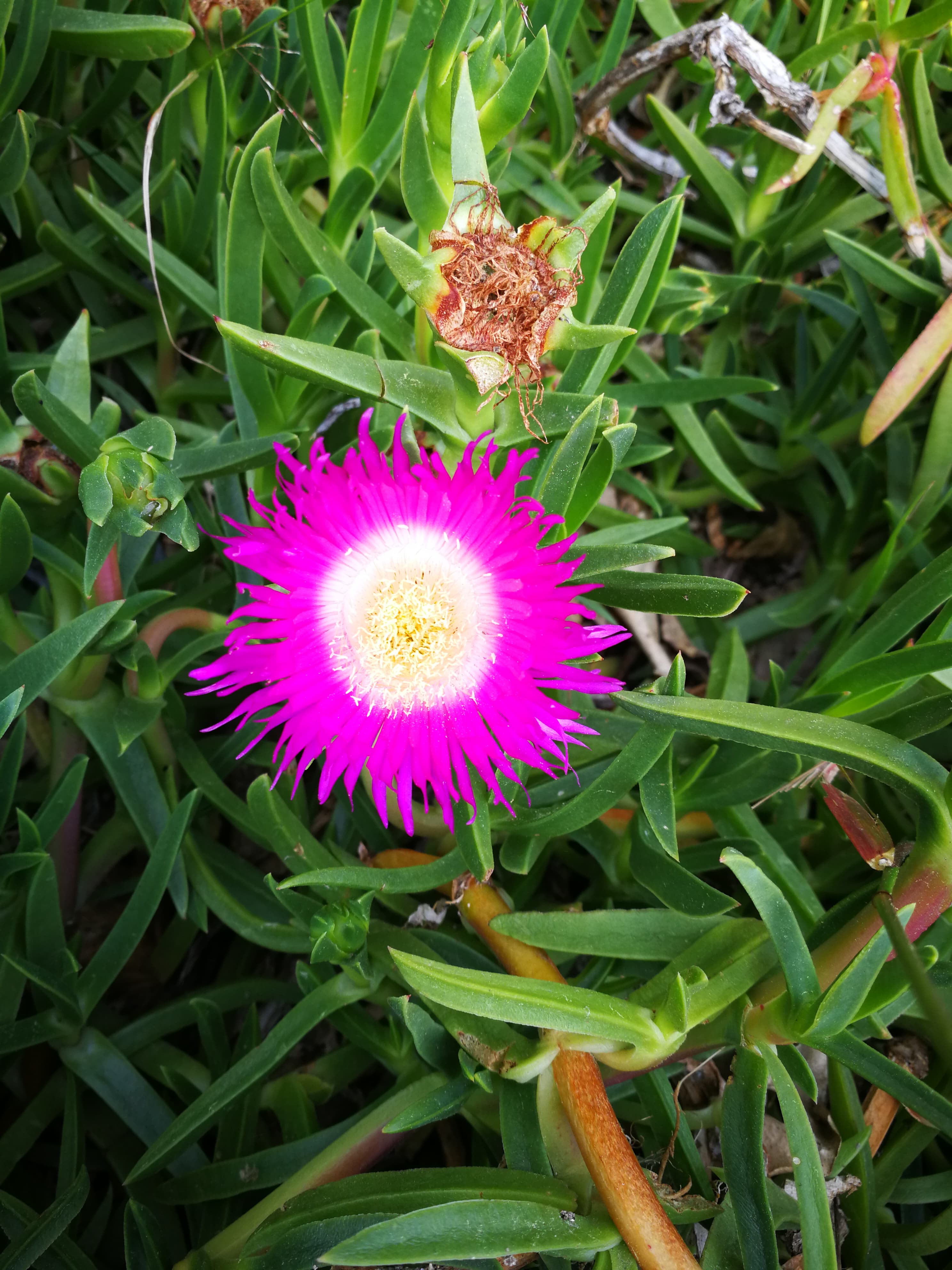 Annexe 90790784_1023146781392224_5403804672165150720_n.jpg