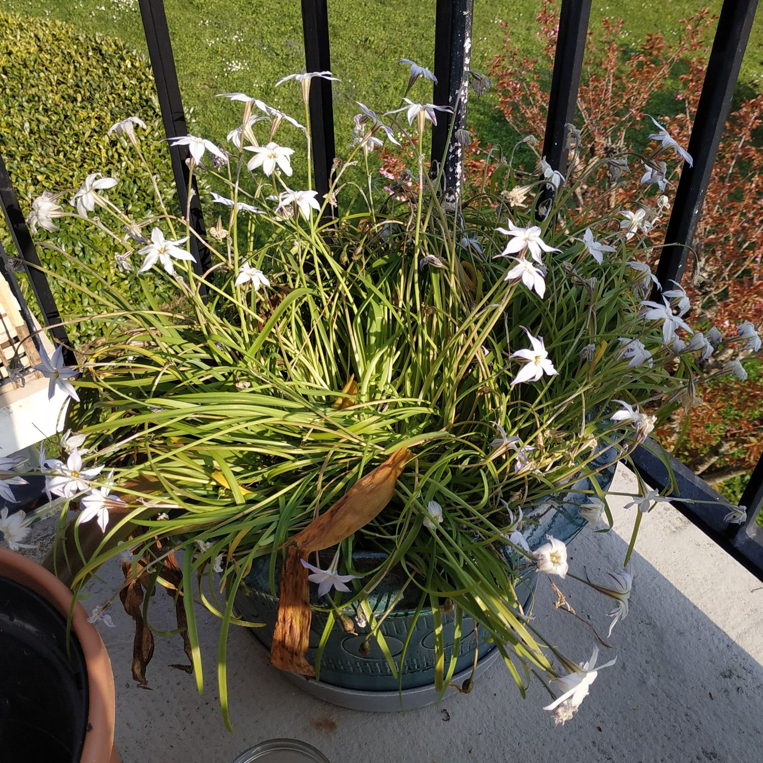 Annexe vue densemble.jpg