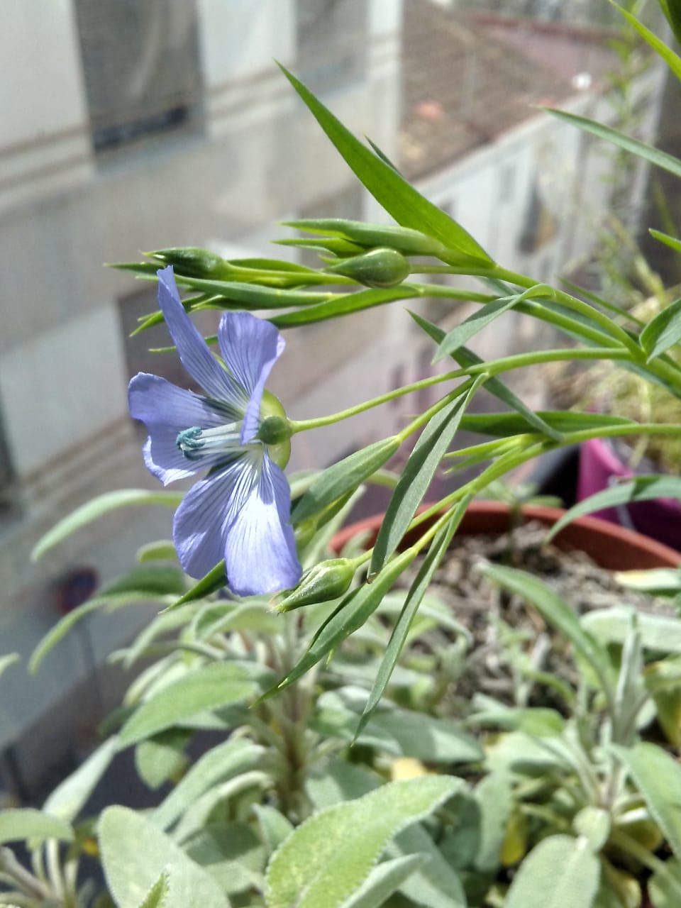 Annexe inconnue 2.jpeg