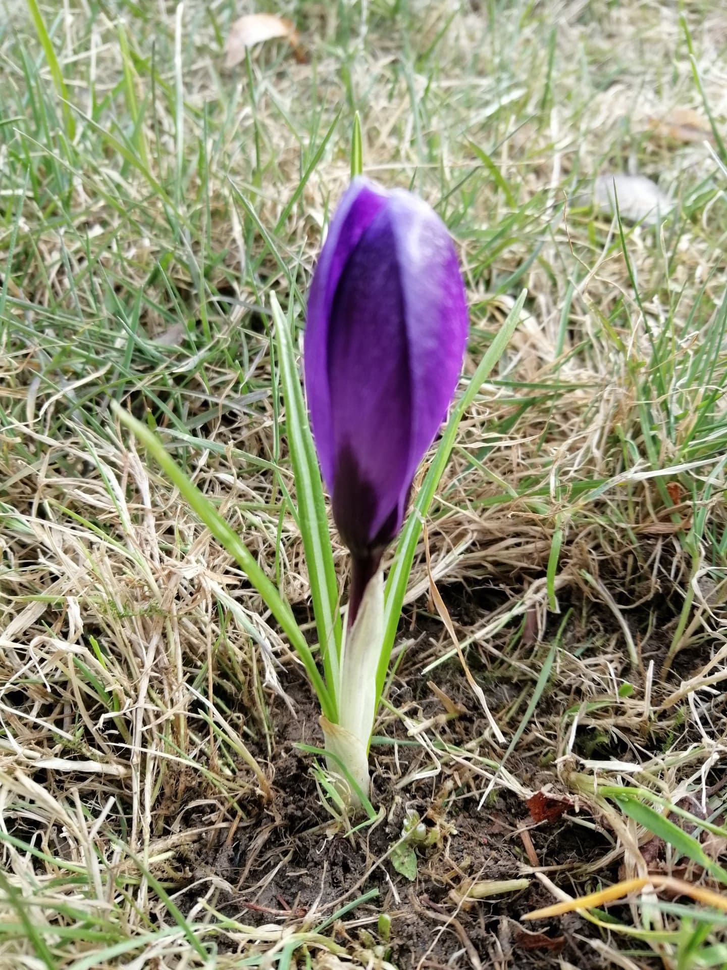 Annexe 90831789_519423312099610_7452612524576342016_n.jpg